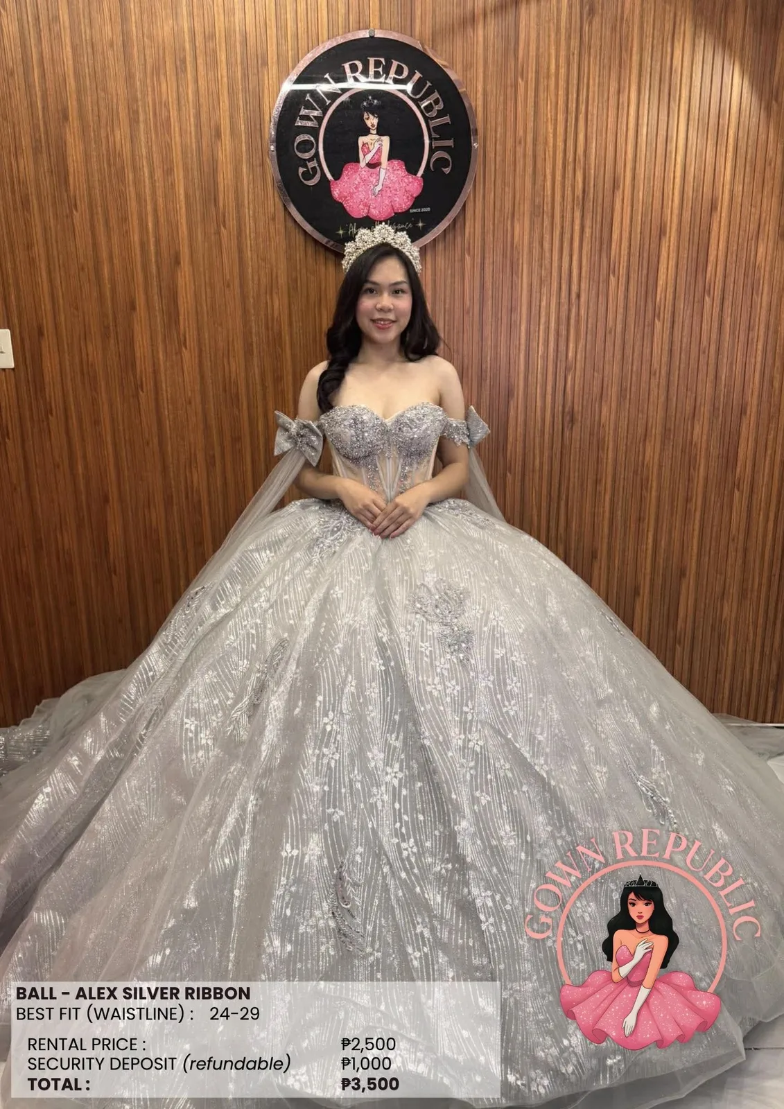 Ball Gowns: Silver / Gray 273